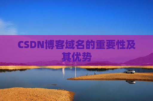 CSDN博客域名的重要性及其优势